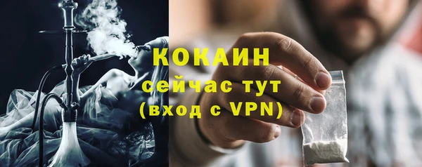 молекула духа Белокуриха