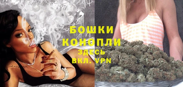 спайс Бородино