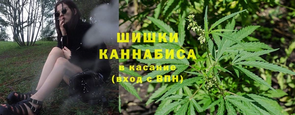 спайс Бородино