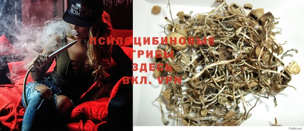стафф Богородицк