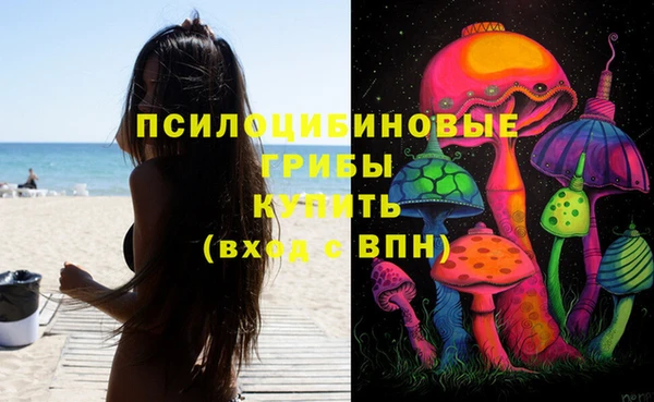 стафф Богородицк