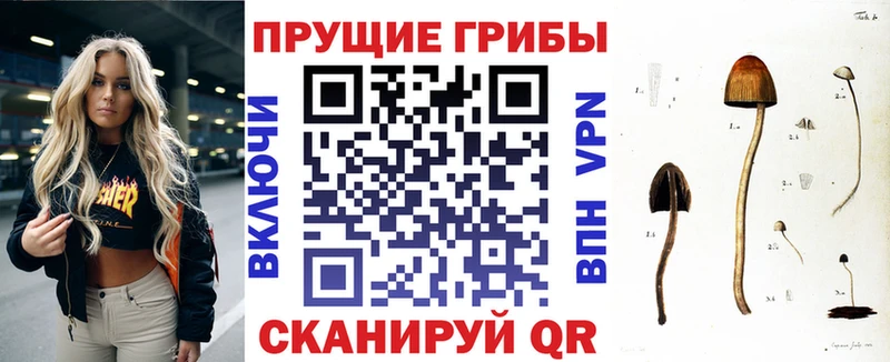 Псилоцибиновые грибы мицелий  Балей 
